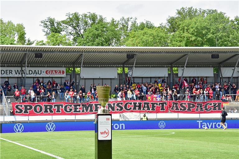 Der Youtuber Tobias Konrad besuchte ein Spiel im Aspacher Stadion. Symbolfoto: Tobias Sellmaier