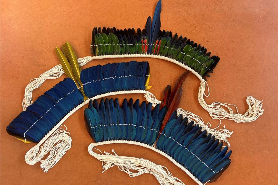 Federkronen-in-der-Post-und-Pferdekot-auf-dem-Auto