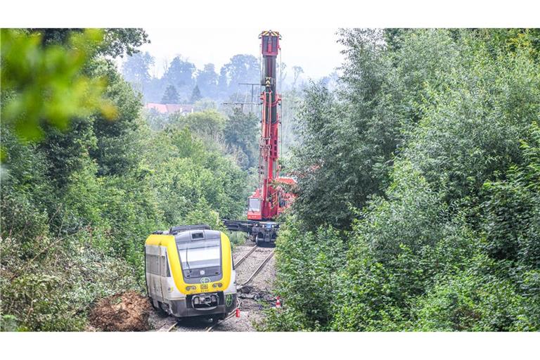 Der Zug entgleiste am Sonntag bei Riedlingen.