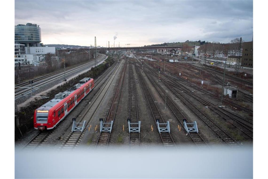 Eidechsen contra Stuttgart 2: Debatte über Abstellbahnhof