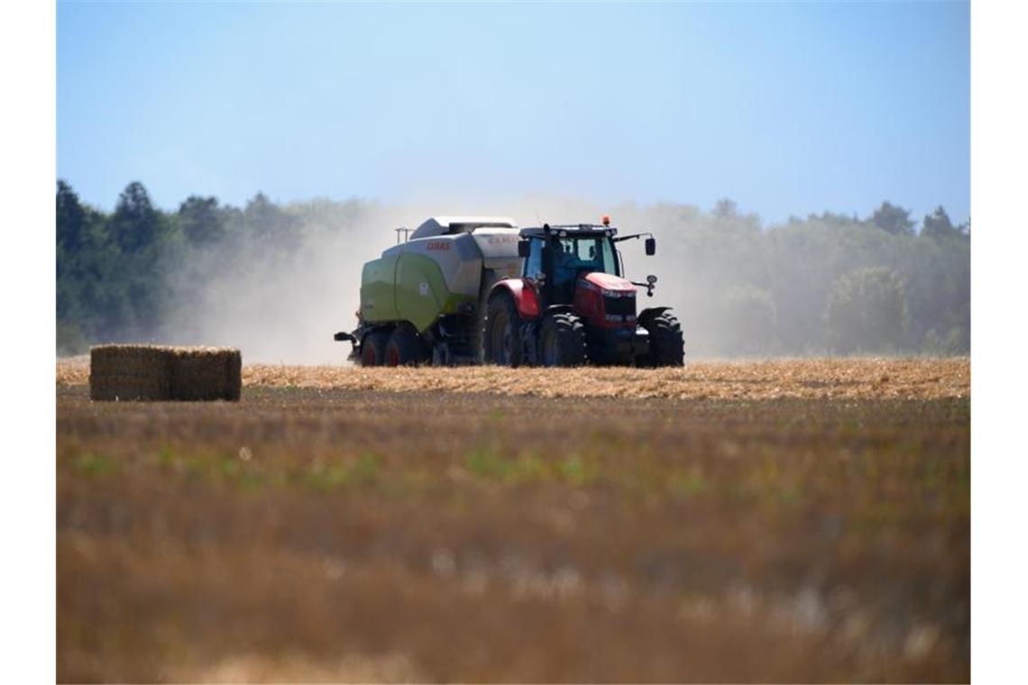 Kommission sucht nach neuen Wegen für die Landwirtschaft Der „Zukunftskommission Landwirtschaft“ gehören Vertreter von Landwirtschaft, Handel und Ernährungsbranche, Verbraucher-, Umwelt- und Tierschützer sowie Wissenschaftler an. Foto: Soeren Stache/dpa-Zentralbild/ZB