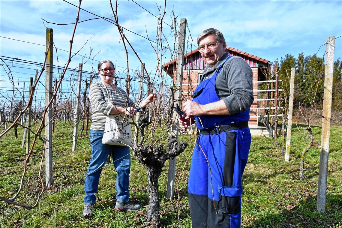 „Das hier ist mein Erholungsgebiet!“ Der zweite Arbeitstag im Kirchberger Weinberg: Karin Schneller ist damit beschäftigt, das Garn von den alten Trieben zu entfernen, damit ihr Mann Rainer die alten Reben wegschneiden kann. Danach werden die neuen Triebe an der Drahtvorrichtung aufgebunden. Fotos: T. Sellmaier