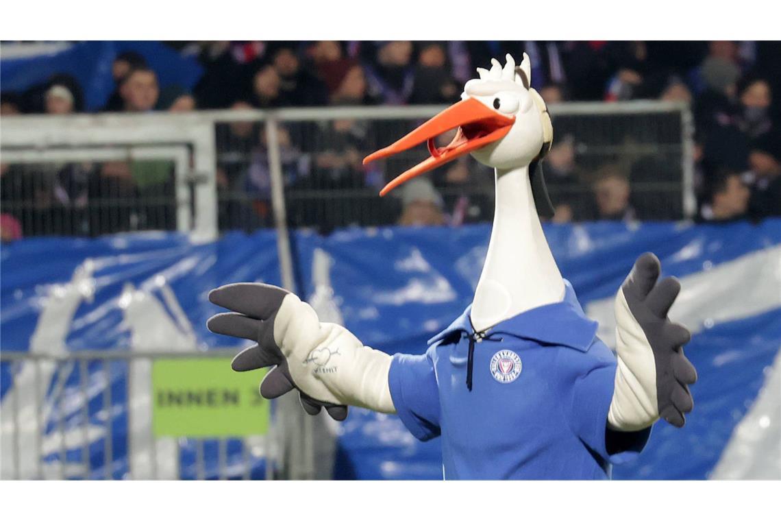 Der Zweitligist Holstein Kiel hat einen Storch namens Stolle als Maskottchen.