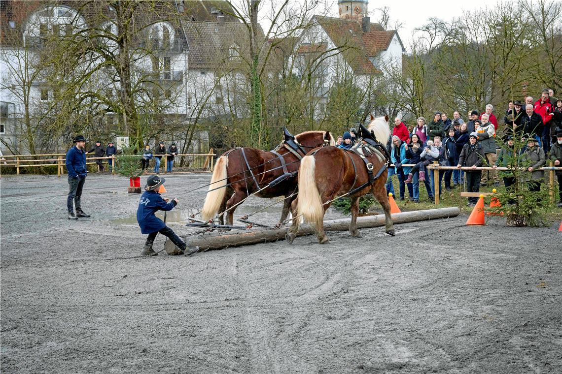 Der zwölfjährige Philip Müller aus Auenwald mit Django und Ringo war der jüngste Teilnehmer beim Holzrücken. Foto: Mathias Welz