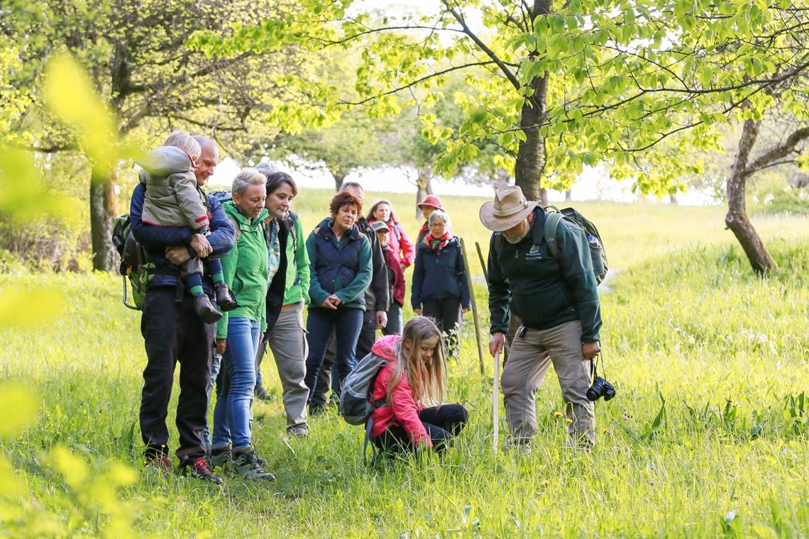 Naturpark Schwäbisch-Fränkischer Wald sucht Naturparkführer Derzeit sind etwa 30 Naturparkführer aktiv. In Spitzenzeiten vor der Pandemie boten sie pro Jahr 900 Führungen an. Foto: privat
