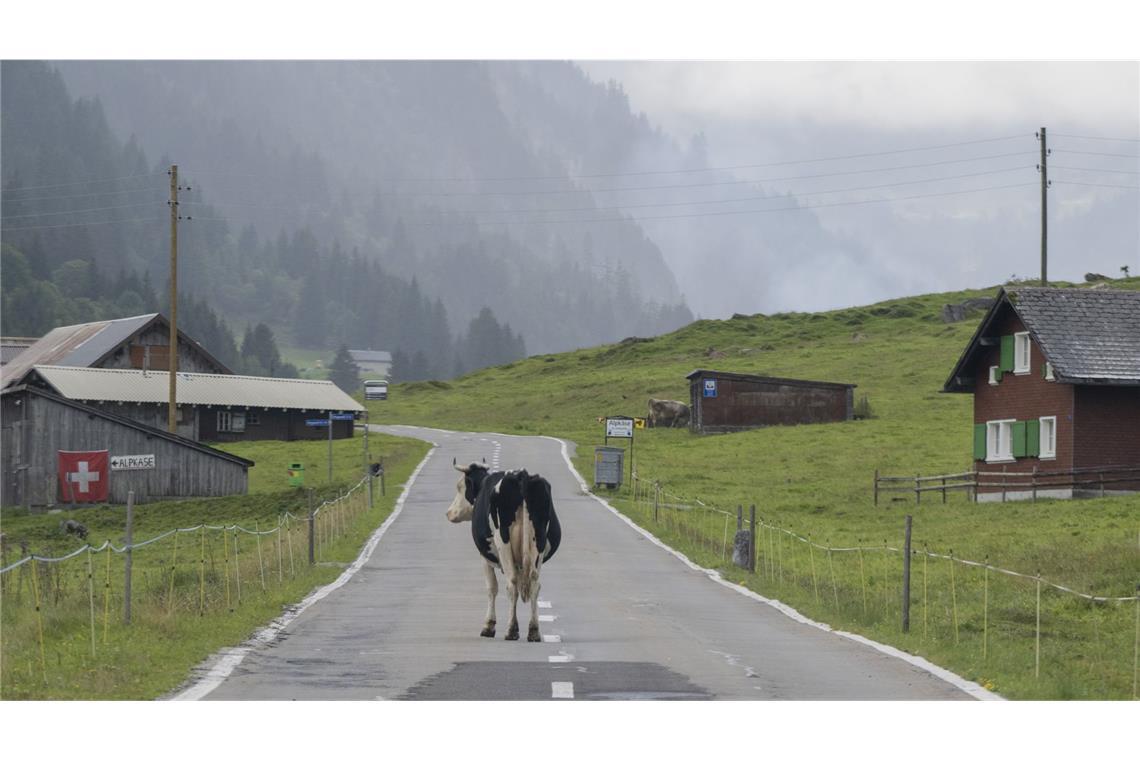Wohin es deutsche Auswanderer zieht Deutsche Auswanderer zieht es häufig in die Schweiz.