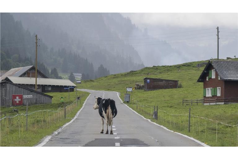 Deutsche Auswanderer zieht es häufig in die Schweiz.