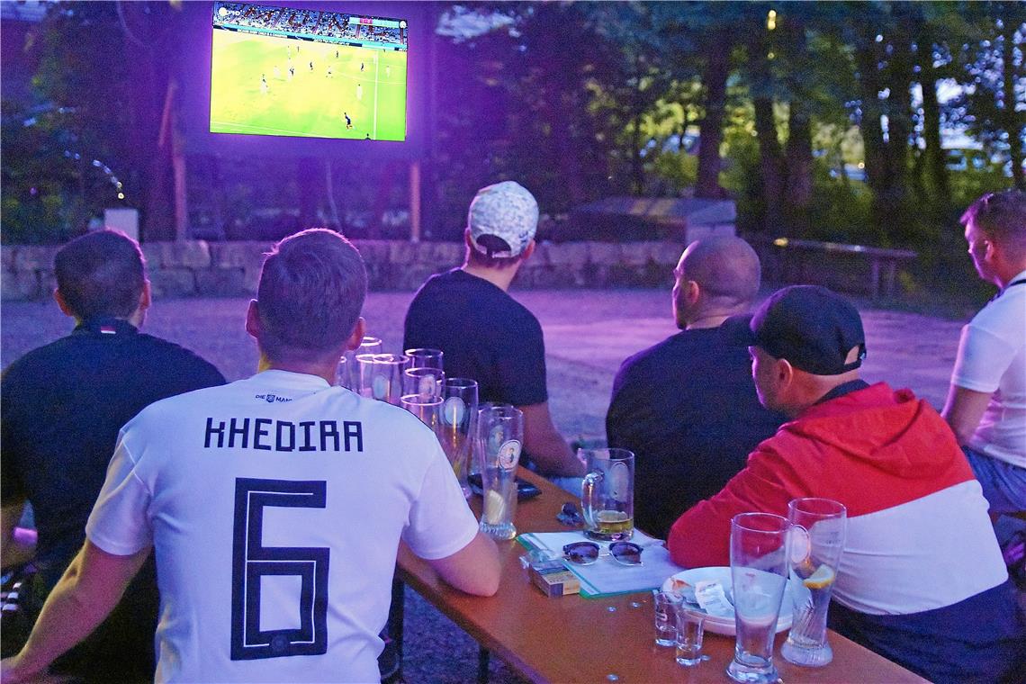 Deutsche und französische Fans, Public Viewing im Waldheim beim EM-Spiel Frankre...