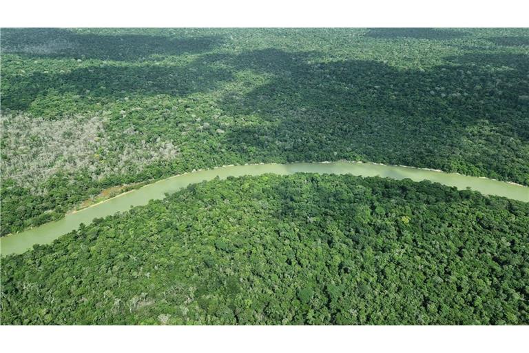 Deutschland gibt viel Geld für einen neuen Tropenwaldfonds.