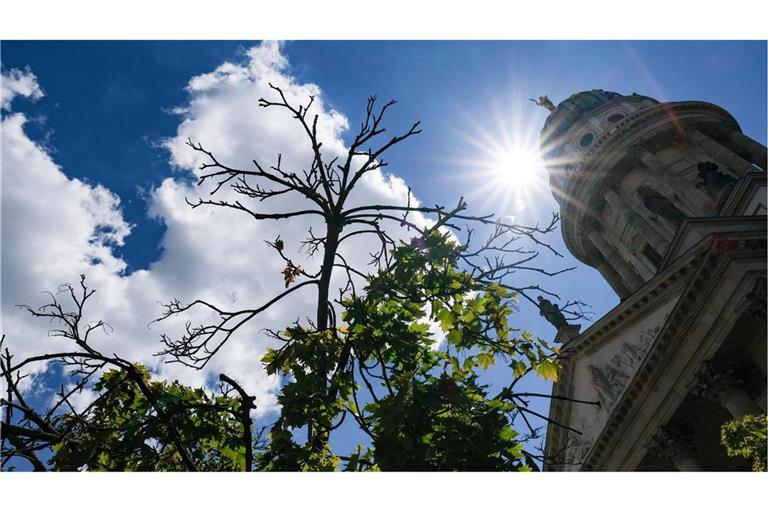 Deutschland wird wohl seine Klimaziele erreichen.