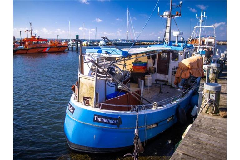 Dezimierte Fischbestände und sinkende Fangmengen verschärfen die Lage bei den deutschen Ostseefischern. Foto: Jens Büttner/dpa-Zentralbild/dpa