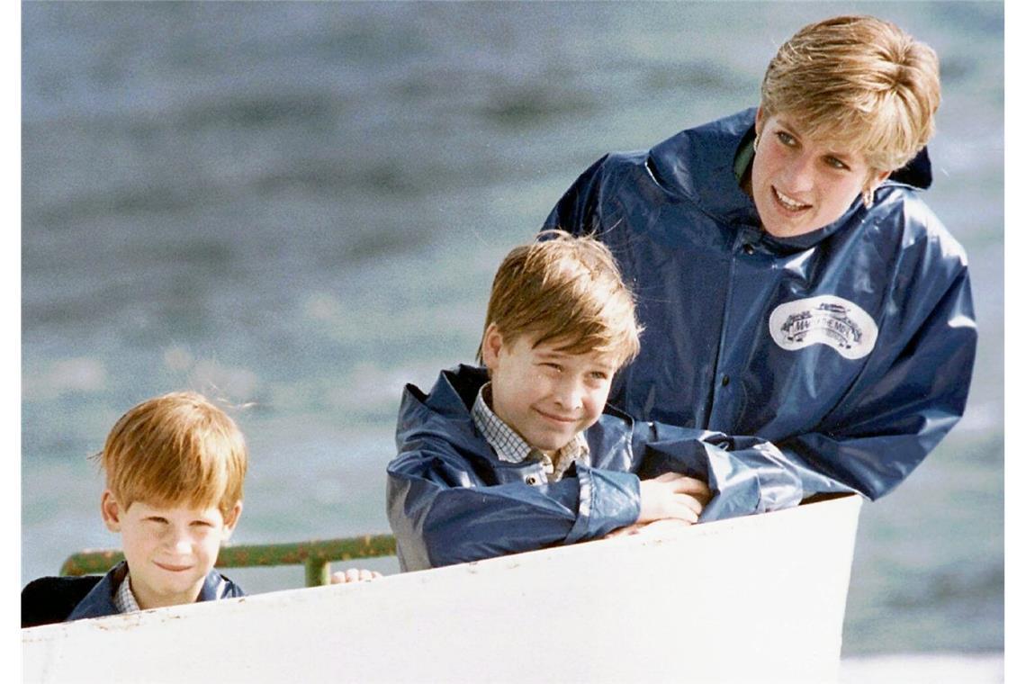 Diana besichtigt im Oktober 1991 mit ihren Söhnen Prinz William (M) und Prinz Harry die Niagara Fälle (USA).