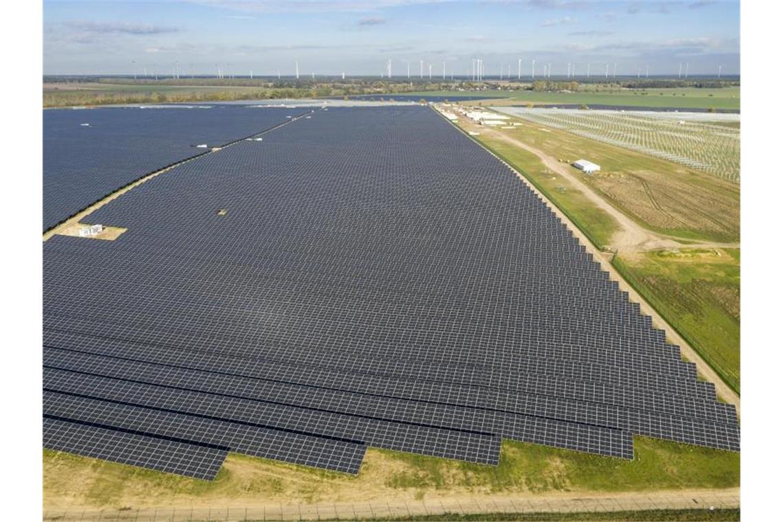 EnBW will größten Solarpark Deutschlands ausbauen Dicht an dicht stehen Solarpanele in Deutschlands größtem Solarpark. Foto: Paul Langrock/EnBW/dpa
