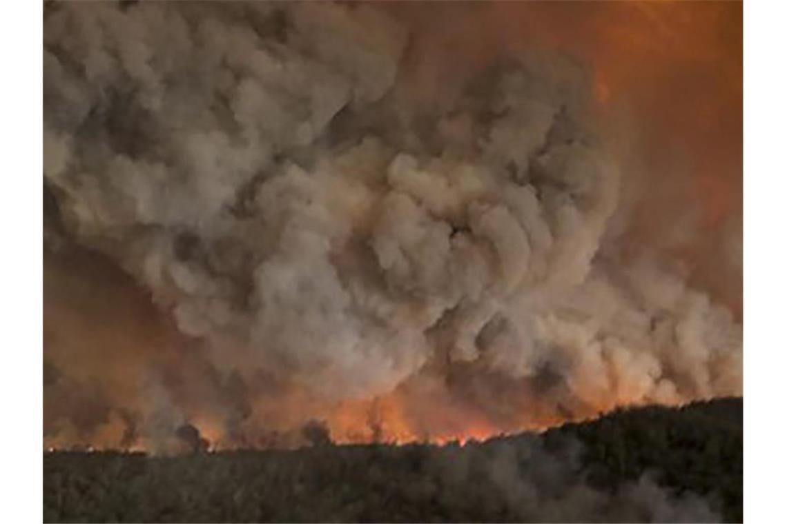 Australische Experten: Hunderte starben am Rauch der Feuer