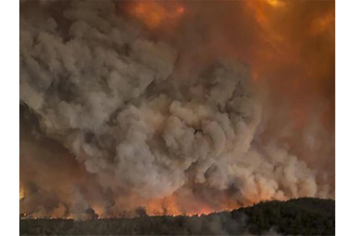 Dichte Rauchwolken über einem Wald im Ort Bairnsdale. Foto: Glen Morey/Glen Morey/dpa