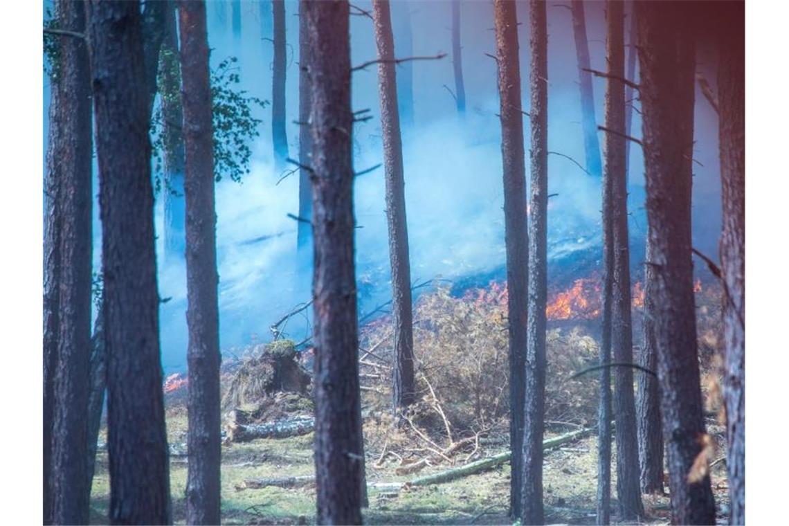 Dichter Rauch zieht durch den Wald in der Nähe der evakuierten Ortschaft Alt Jabel. Foto: Jens Büttner