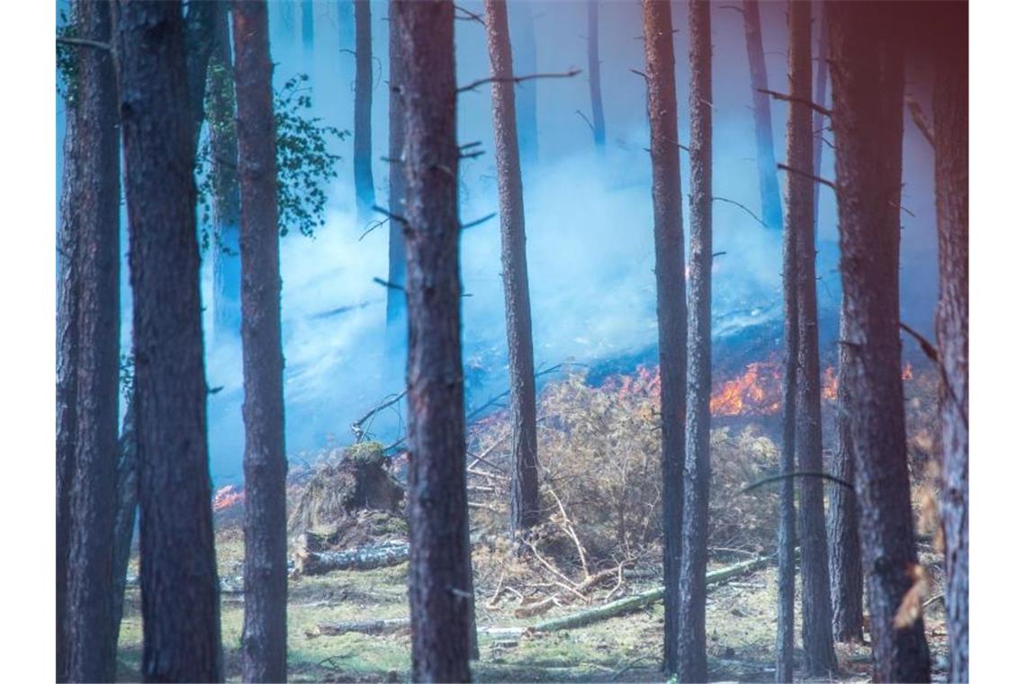 Wasserwerfer und Räumpanzer bei Brandbekämpfung Dichter Rauch zieht durch den Wald in der Nähe der evakuierten Ortschaft Alt Jabel. Foto: Jens Büttner