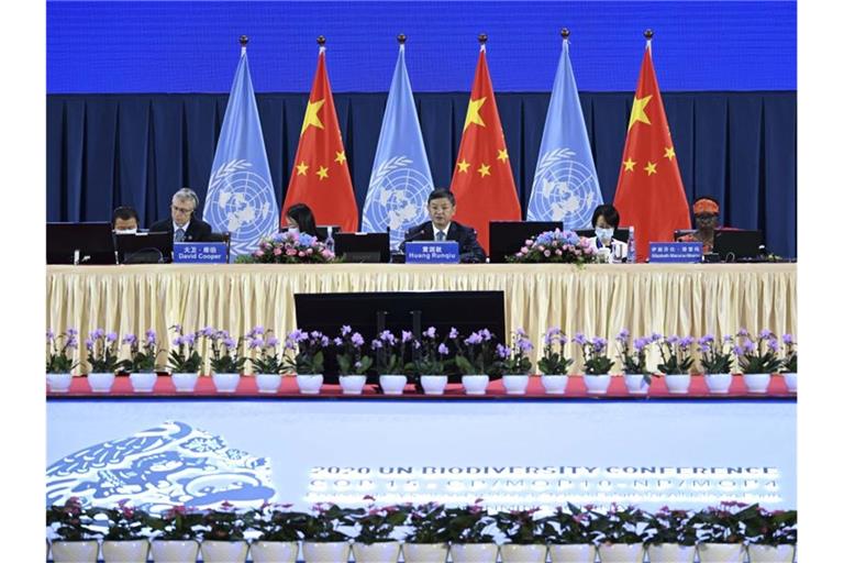 Die 15. UN-Weltnaturschutzkonferenz findet im chinesischen Kunming statt. Foto: Chen Yehua/XinHua/dpa