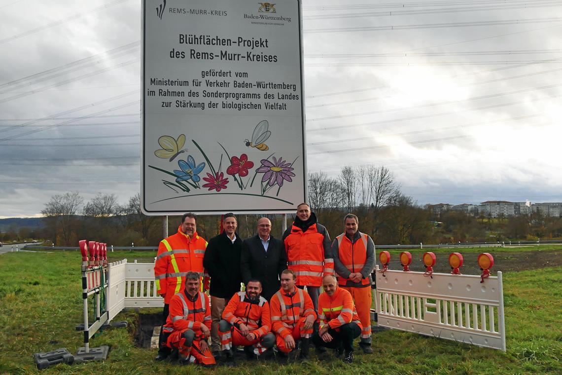 Die 2019 eingerichtete Blühfläche des Kreises in Waiblingen-Nord soll auch zukünftig schonend bewirtschaftet werden. Das ist nicht mehr auf allen Flächen der Fall. Foto: Landratsamt