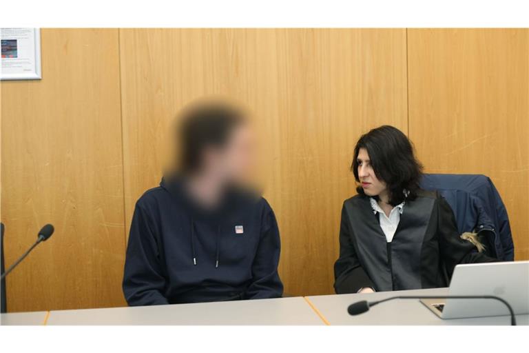 Die 29-Jährige muss in die Psychiatrie.