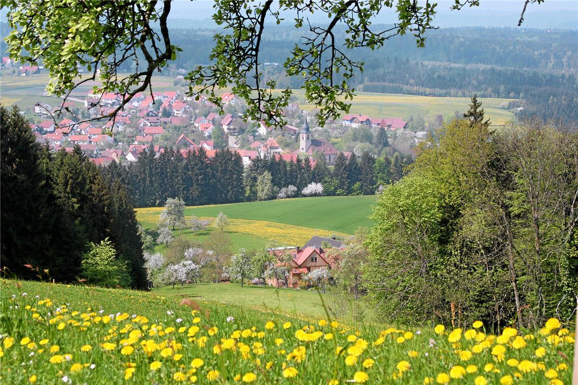 Die 31 Mitgliedsgemeinden der Leader-Aktionsgruppe Schwäbischer Wald verteilen sich auf vier Landkreise. Foto: Schwäbisch-Fränkischer Wald