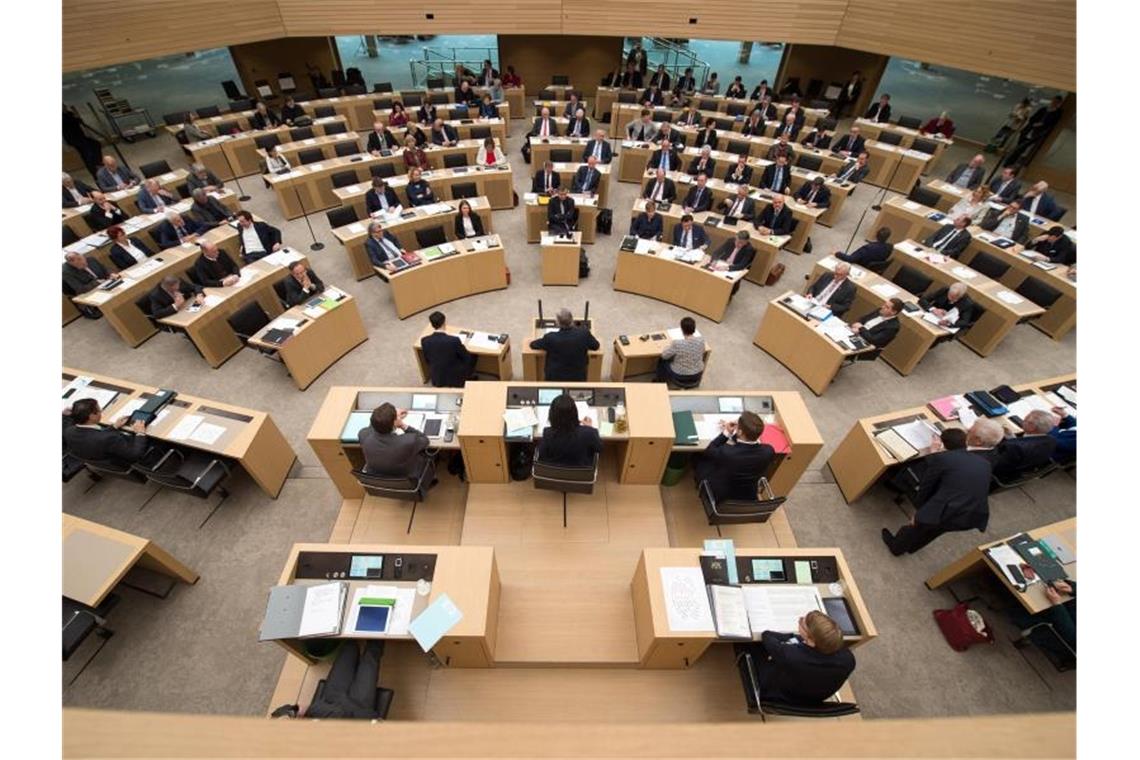 Die Abgeordneten des Landtags sitzen bei einer Debatte im Plenarsaal. Foto: Sina Schuldt/dpa
