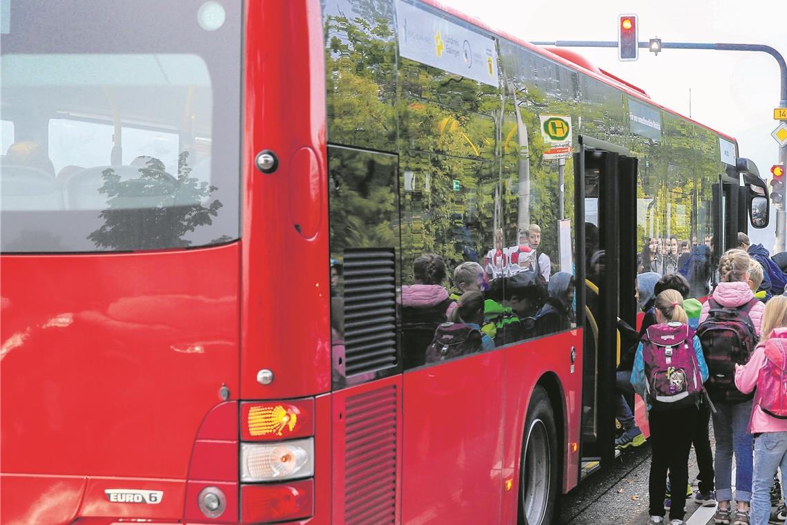Fahrgäste beharren auf den ersten Bus der Linie390 Die Änderungen auf der Buslinie 390 gefallen nicht jedem. Foto: A. Becher