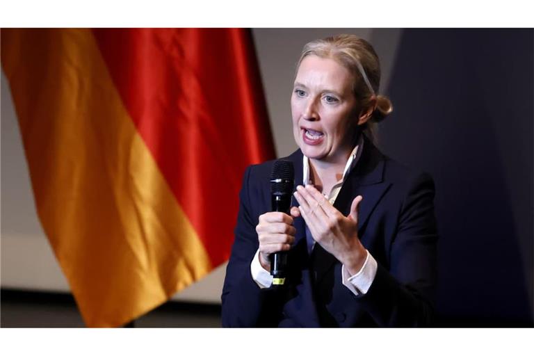 Die AfD-Chefin Alice Weidel könnte wegen der geleakten Mails in Bedrängnis geraten.