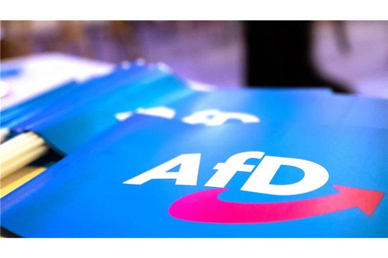 Die AfD erfährt weiter große Zustimmung bei der Wählerschaft.