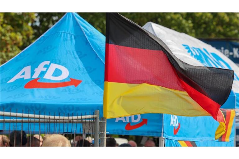 Die AfD erfreut sich in Sachsen-Anhalt großem Zuspruch.