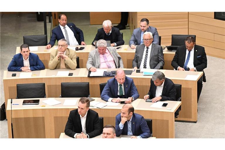 Die AfD-Fraktion im baden-württembergischen Landtag (Archivbild).