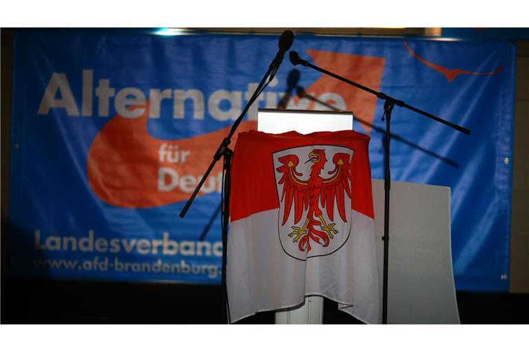 Die AfD in Brandenburg wird seit April als gesichert rechtsextrem eingestuft. (Archivbild)