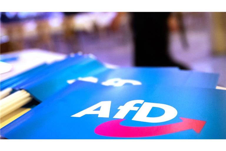 Die AfD liegt in Sachsen-Anhalt in Umfragen weit vorn.