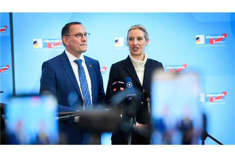 Die AfD liegt in Umfragen erstmals vor der Union. (Archivbild)