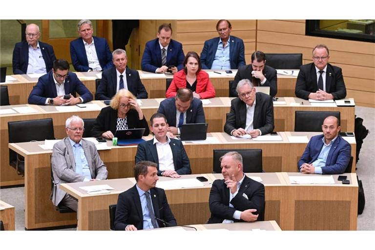 Die AfD stellt die größte Oppositionspartei im Landtag von Baden-Württemberg.