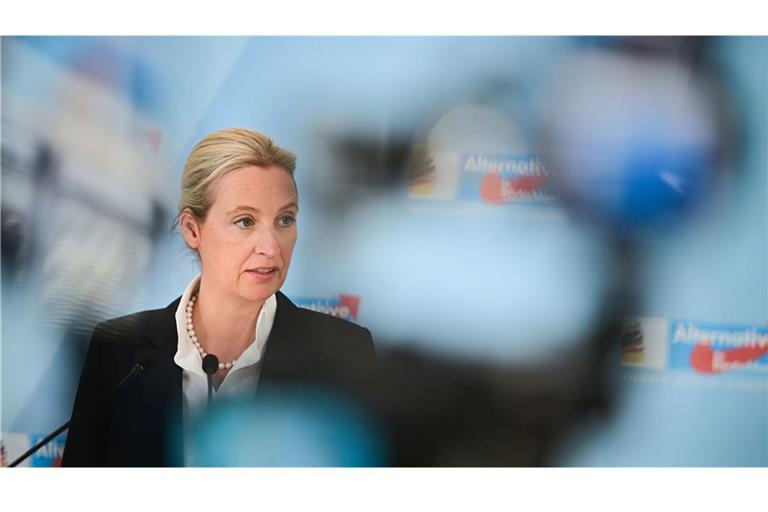 Die AfD um Alice Weidel konnte in einer neuen Umfrage zulegen. (Symbolbild)