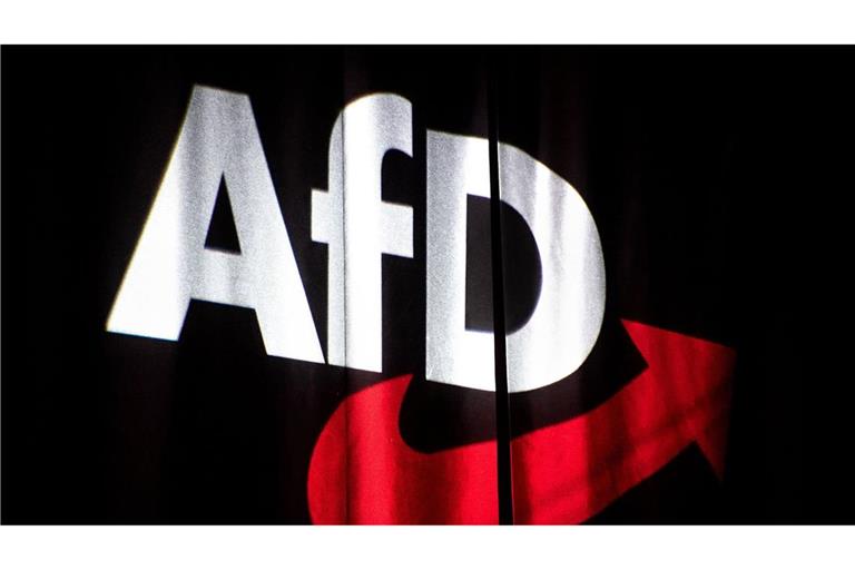 Die AfD-Veranstaltung in Rottweil begann mit Tumulten. (Symbolbild)