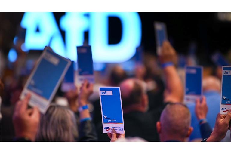 Die AfD will ihre neue Jugendorganisation stärker an sich binden. (Archivbild)