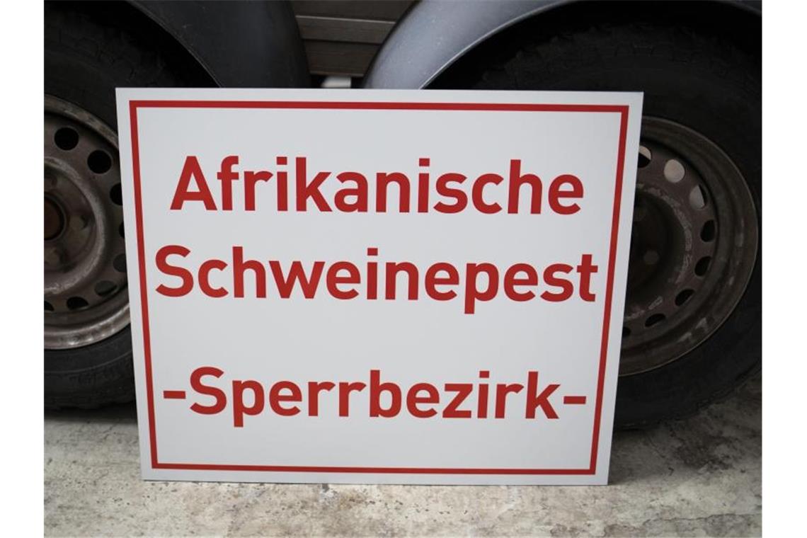 Afrikanische Schweinepest 21 Kilometer vor deutscher Grenze Die Afrikanische Schweinepest rückt immer näher an Deutschland heran. Foto: Frank Rumpenhorst/dpa