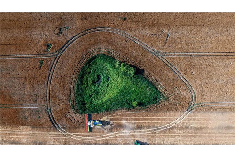 Die Agrarwirtschaft befürchtet, dass Landwirte künftig weniger EU-Geld bekommen. (Archivbild)