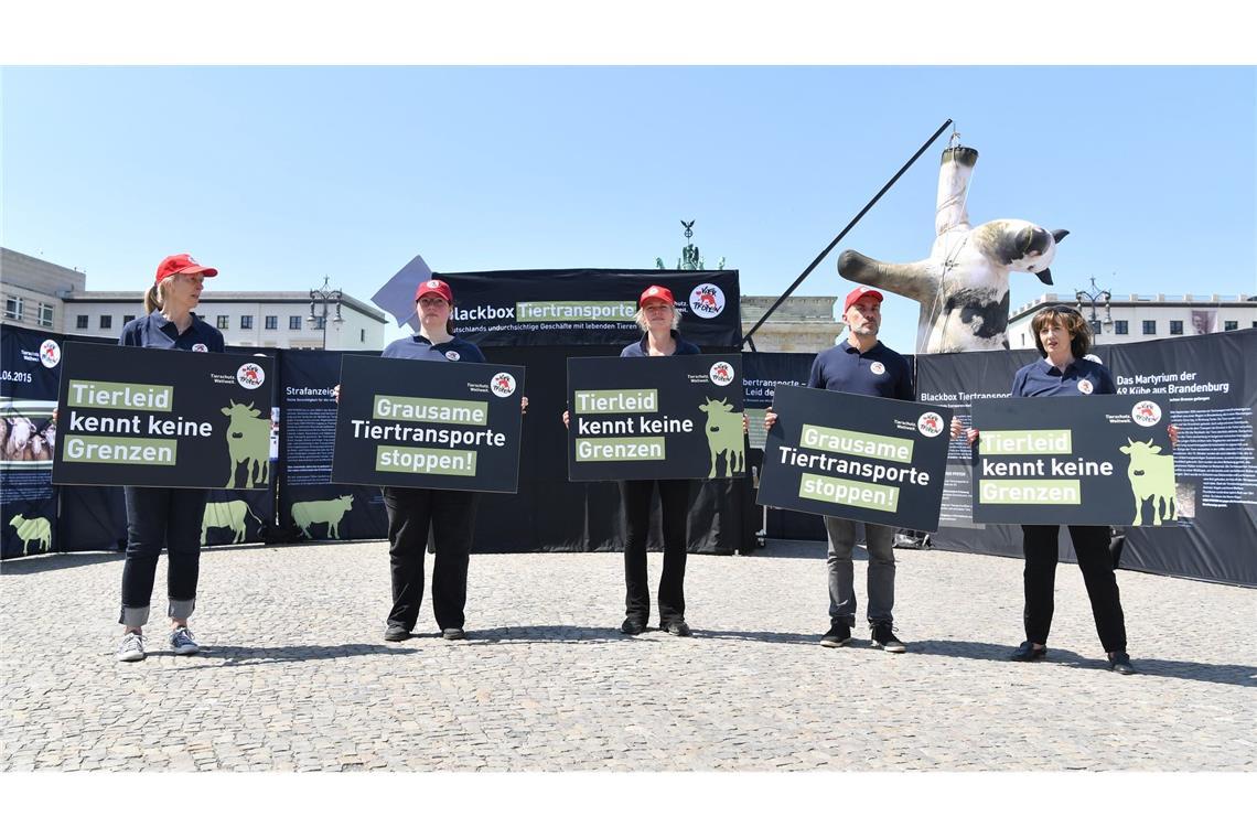 Kuh-Attrappe am Brandenburger Tor Die Aktivisten bezeichnen manche Tiertransporte als "Horrorfahrten".