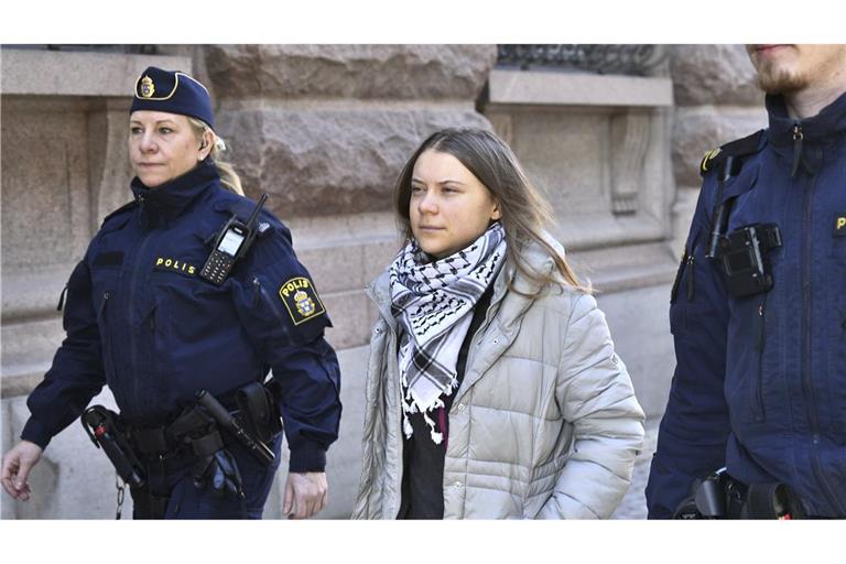 Die Aktivistin hatte ab dem 11. März für mehrere Tage den Haupteingang des schwedischen Parlaments blockiert. (Archivbild)