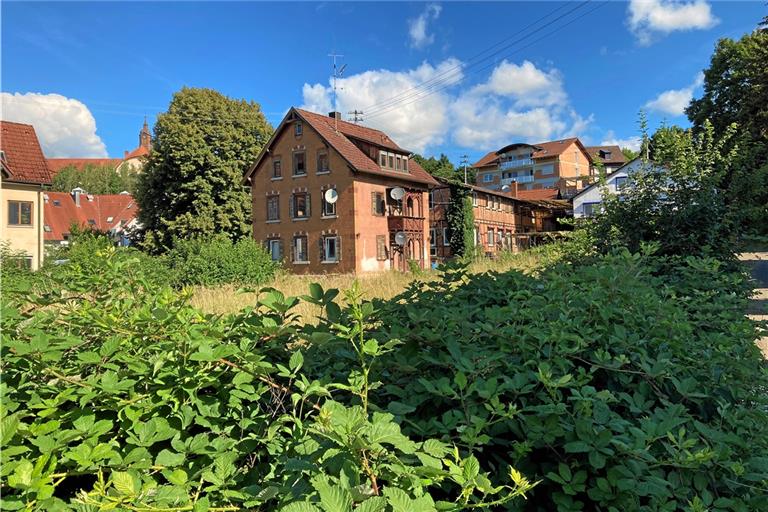 Die alten Gebäude an der Schöntaler Straße müssen weichen. Die stattliche Linde bleibt hingegen erhalten und soll den künftigen Quartiersplatz zieren. Foto: Kornelius Fritz