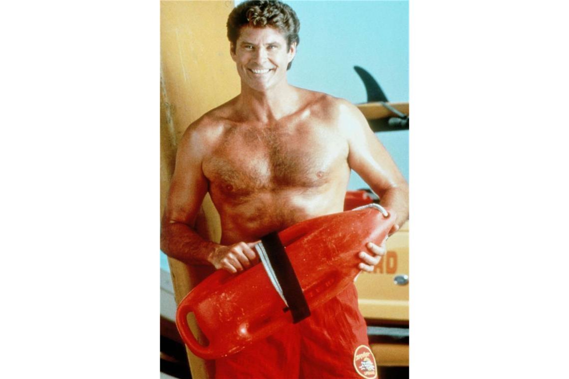 Die am Bauch dichtstehenden Borsten der Hoff-Krabbe erinnerten die Forscher an die beharrte Männerbrust von  David „The Hoff“ Hasselhoff, der auch Dave „The Body“ genannt wird.
