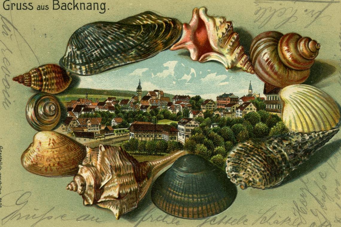 Die Ansichtskarten werden um 1900 immer nur vorne beschrieben. Hier wurde ein Backnang-Motiv in eine Art Muschelbilderrahmen gesetzt. Abgestempelt wurde die Karte 1906.