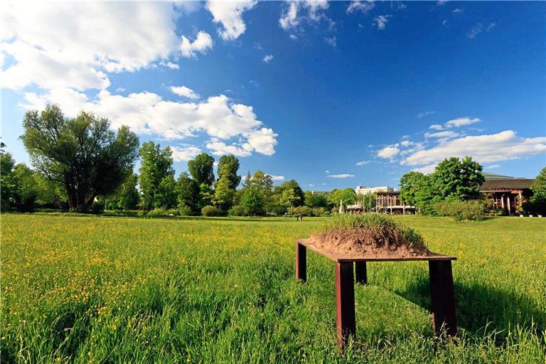 Die Arbeit „Stahltisch, mit Erdschollen bedeckt“ des Weissacher Künstlers Peter Haußmann ist Teil des Talaue-Kunstwegs in Waiblingen. Foto: Kai Koepf