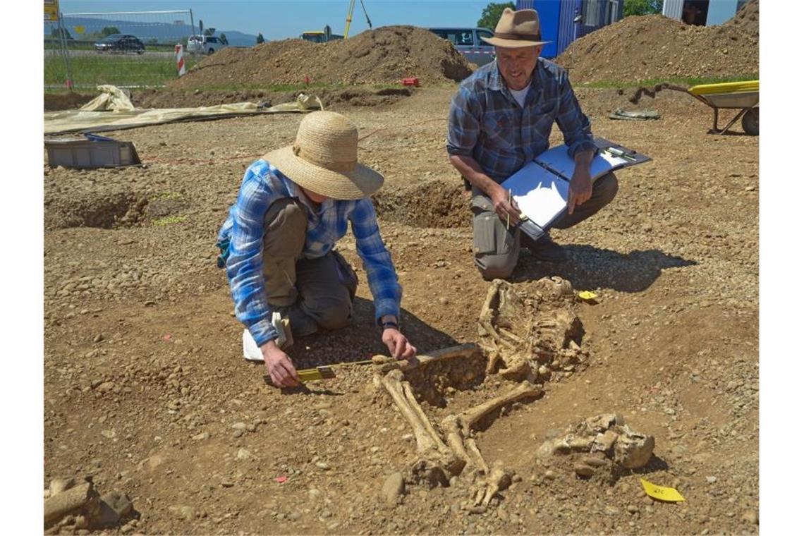Die Archäologen Fiona Vernon (l) und Jürgen Hald (r) dokumentieren menschliche Skelettreste. Foto: Landratsamt/Landratsamt Konstanz/dpa/Archivbild