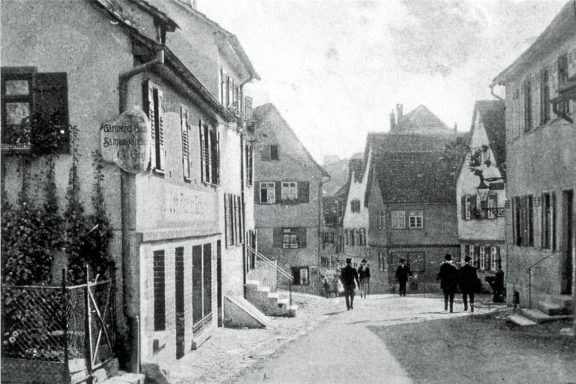 Die Aspacher Straße um 1900. Rechts ist die Gaststätte Traube zu sehen, links weist ein Schild zur Gärtnerei Trefz.