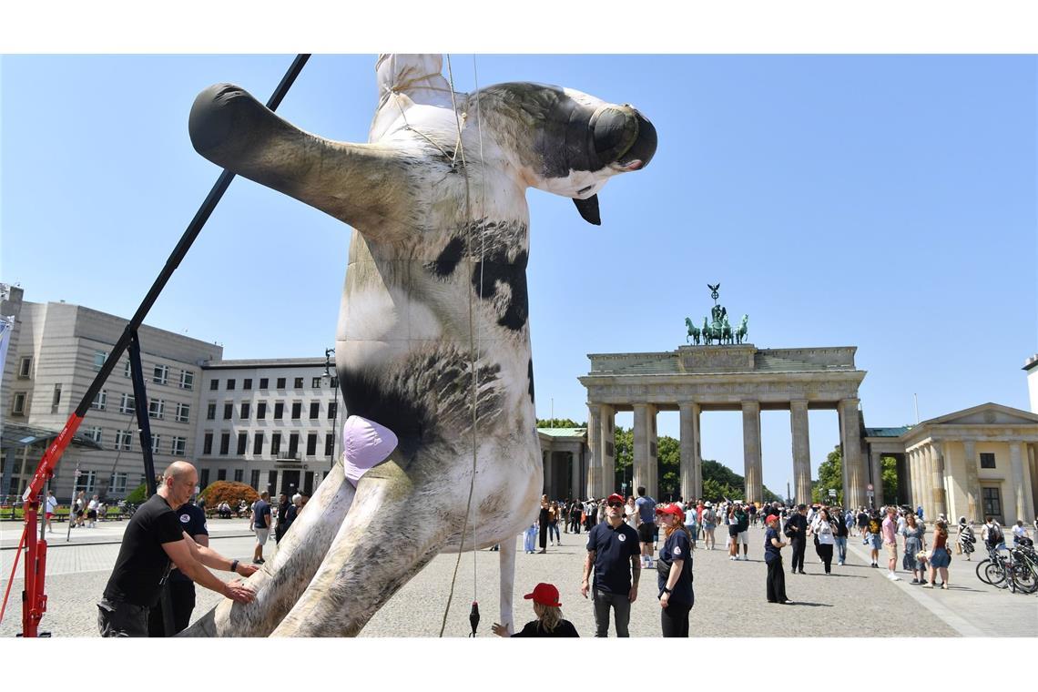 Kuh-Attrappe am Brandenburger Tor Die Attrappe ist etwa 4 Meter groß.