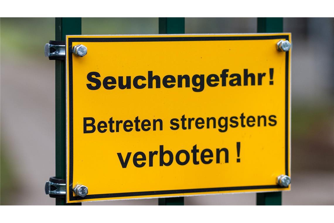 Die auch als Vogelgrippe bezeichnete Geflügelpest hat sich mittlerweile fast über ganz Deutschland ausgebreitet. (Archivbild)